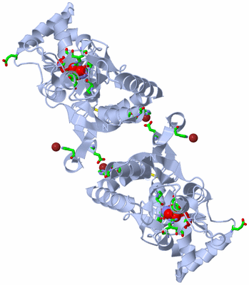 Image Biol. Unit 1 - sites