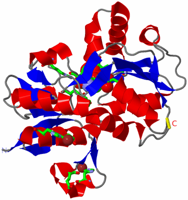 Image Asym. Unit - sites