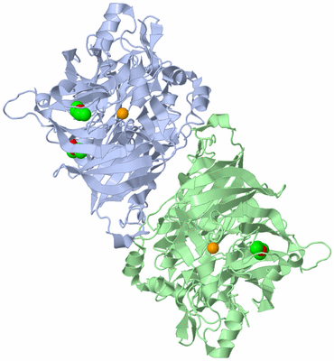 Image Asym./Biol. Unit