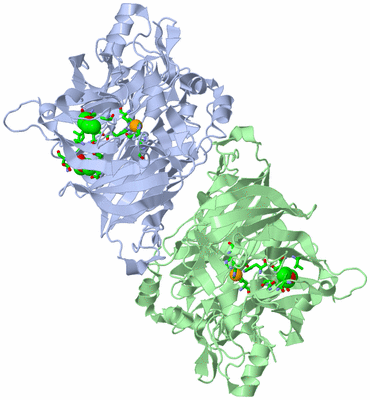 Image Asym./Biol. Unit - sites