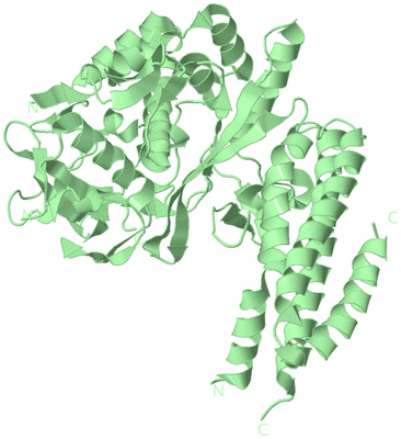 Image Biological Unit 2