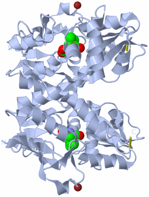 Image Biological Unit 1