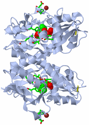 Image Biol. Unit 1 - sites