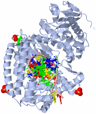 Image Biological Unit 1