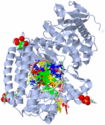 Image Biol. Unit 1 - sites