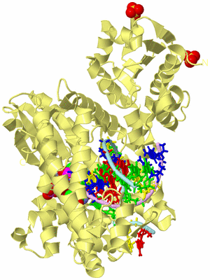 Image Biological Unit 2