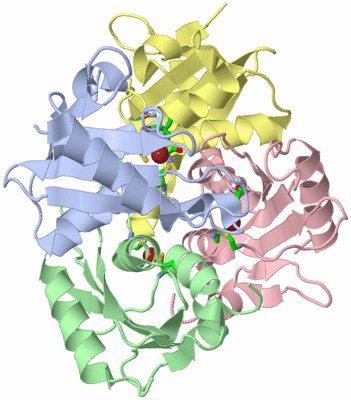 Image Asym./Biol. Unit - sites