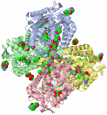 Image Biological Unit 1