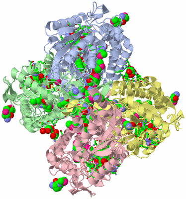 Image Biol. Unit 1 - sites