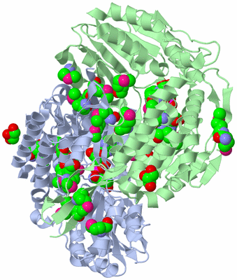 Image Biological Unit 2