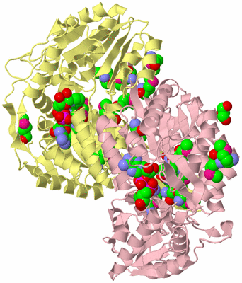 Image Biological Unit 3