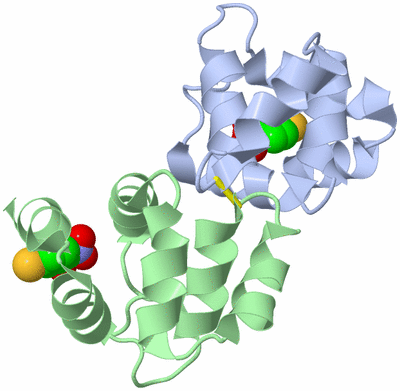 Image Asym./Biol. Unit