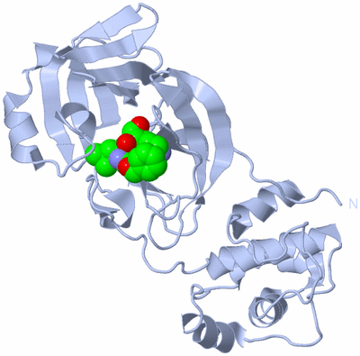 Image Biological Unit 1