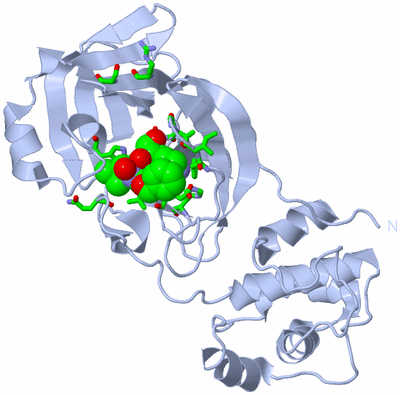 Image Biol. Unit 1 - sites