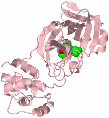 Image Biological Unit 3