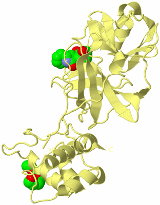 Image Biological Unit 4