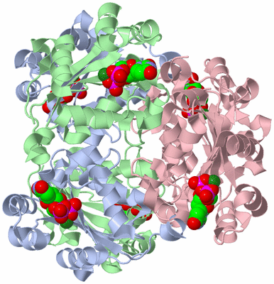 Image Biological Unit 1