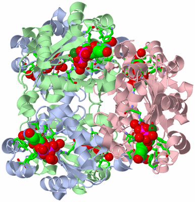 Image Biol. Unit 1 - sites