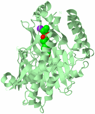 Image Biological Unit 2