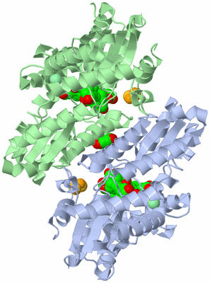 Image Asym./Biol. Unit