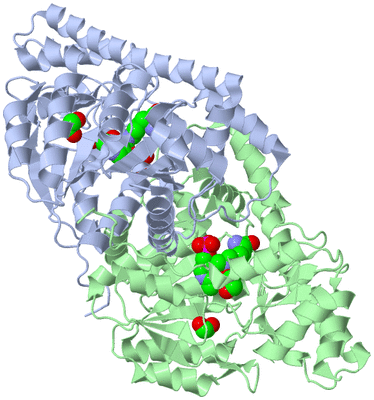 Image Asym./Biol. Unit