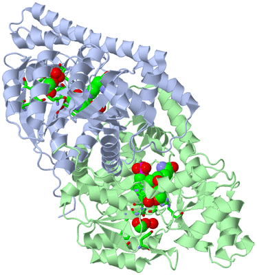 Image Asym./Biol. Unit - sites