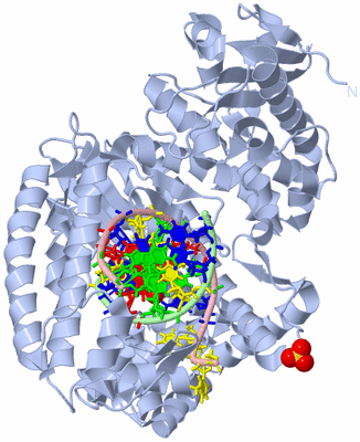 Image Biological Unit 1