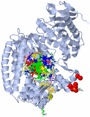 Image Biol. Unit 1 - sites