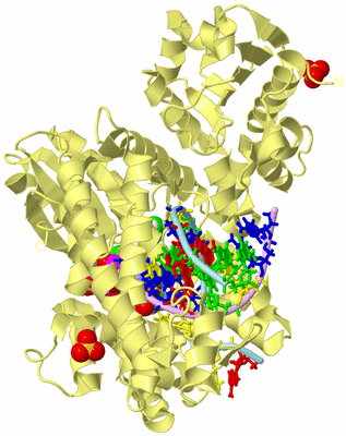 Image Biological Unit 2