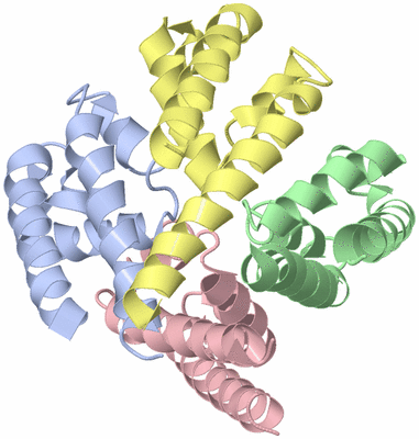 Image Asym./Biol. Unit