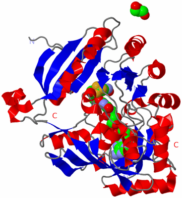 Image Asym./Biol. Unit