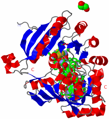 Image Asym./Biol. Unit - sites