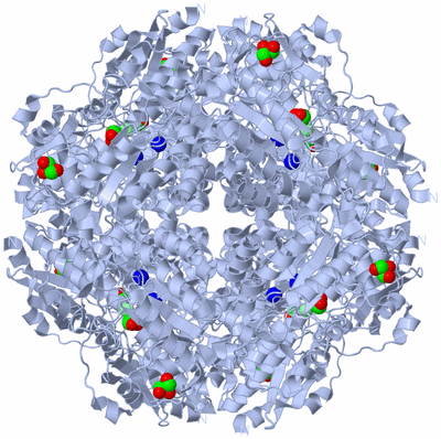 Image Biological Unit 1