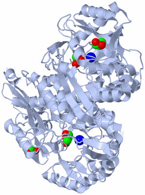 Image Biological Unit 2