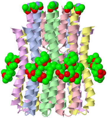 Image Biological Unit 1