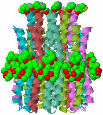 Image Biological Unit 2