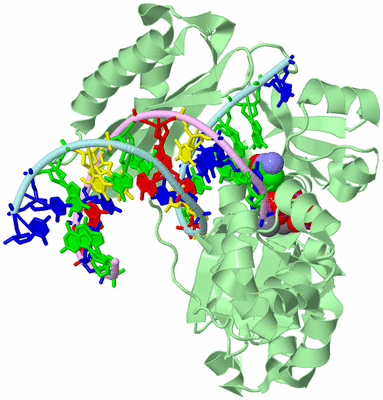 Image Biological Unit 2