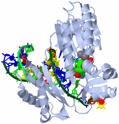 Image Biological Unit 1