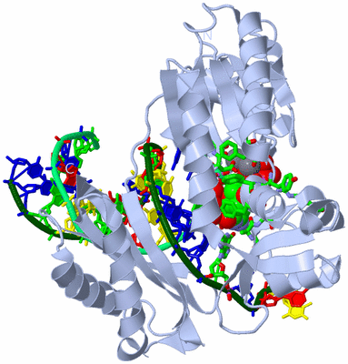 Image Biol. Unit 1 - sites