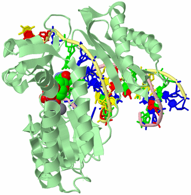 Image Biological Unit 2