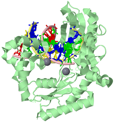 Image Biological Unit 1