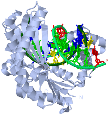 Image Biological Unit 2