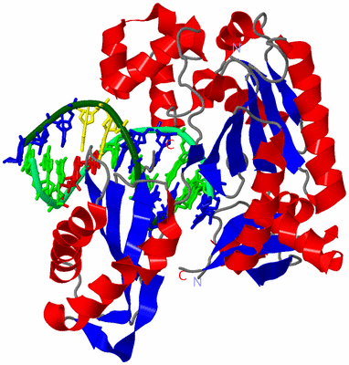 Image Asym./Biol. Unit