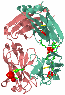 Image Biol. Unit 1 - sites