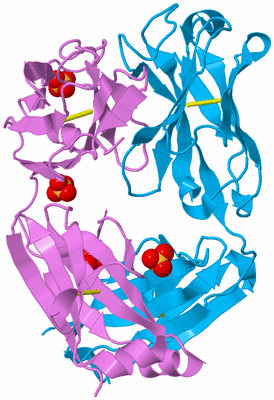 Image Biological Unit 3