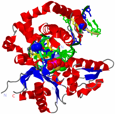 Image Asym./Biol. Unit