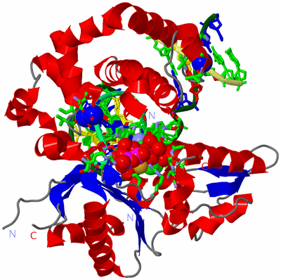 Image Asym./Biol. Unit - sites