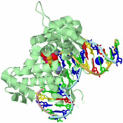 Image Biological Unit 2