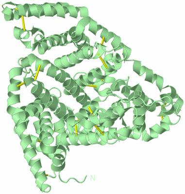 Image Biological Unit 2