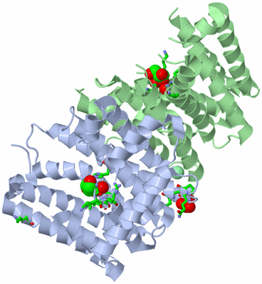 Image Asym./Biol. Unit - sites